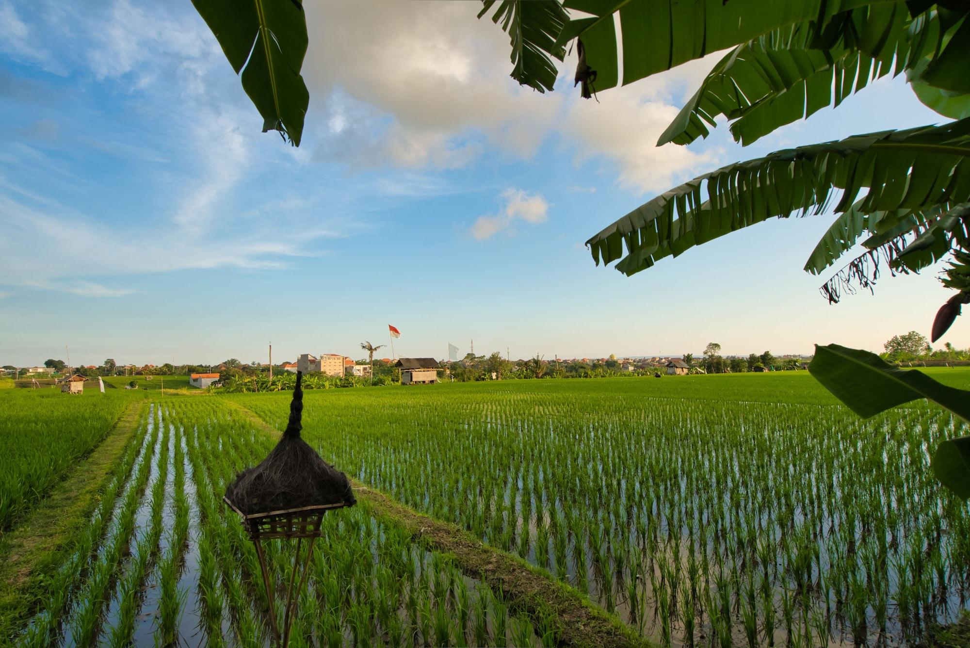 Sotis Villas Canggu Exterior foto